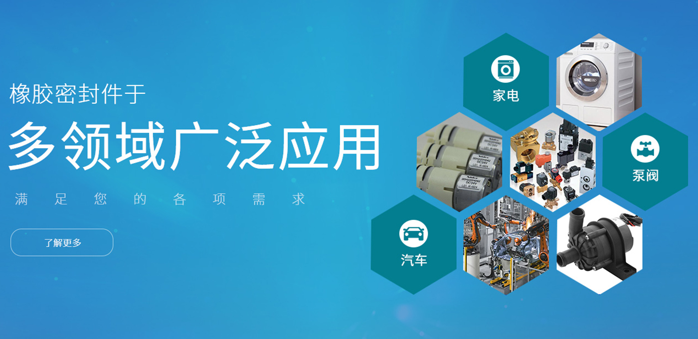 常州9888拉斯维加斯密封科技有限公司