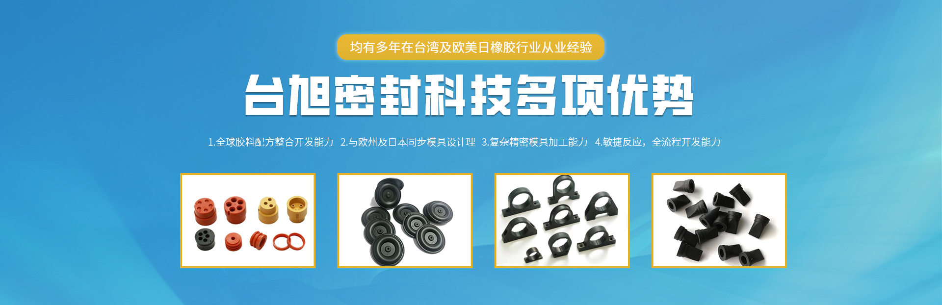 常州9888拉斯维加斯密封科技有限公司